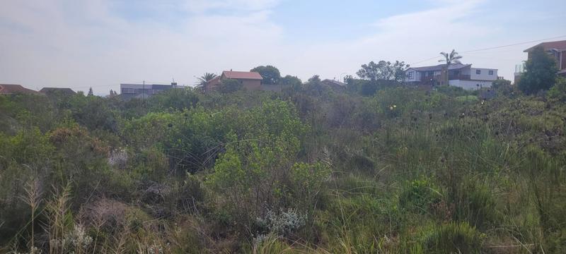 0 Bedroom Property for Sale in Dana Bay Western Cape